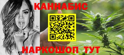 индика Лесосибирск