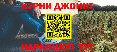 индика Лесосибирск