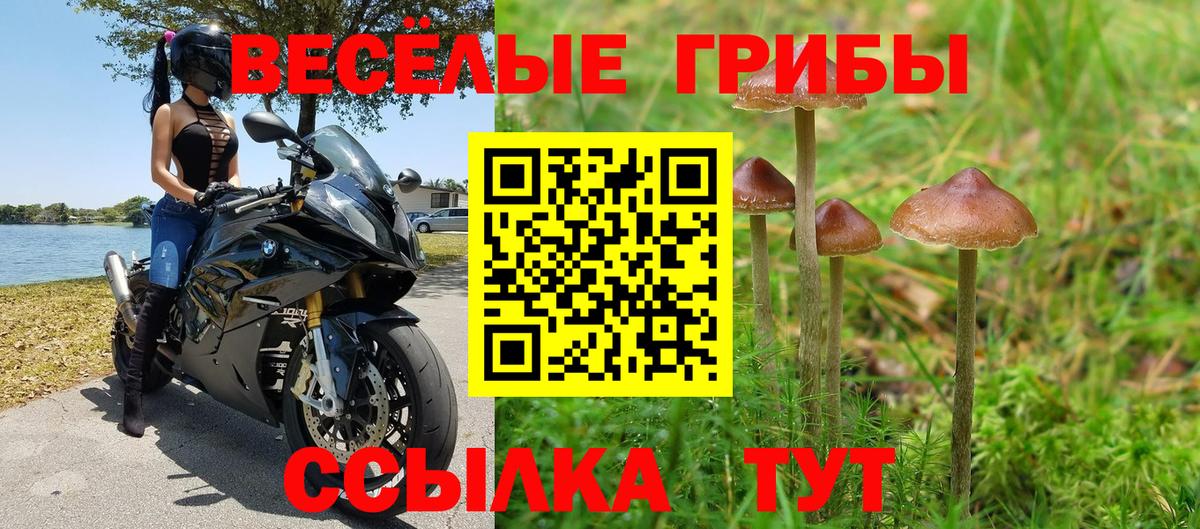 Галлюциногенные грибы MAGIC MUSHROOMS  Вход с VPN  Избербаш 