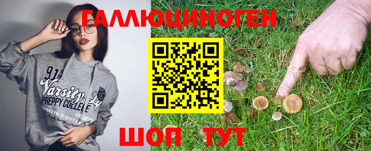 Псилоцибиновые грибы MAGIC MUSHROOMS Избербаш